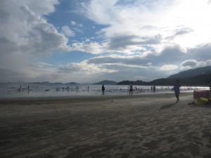 2012 161