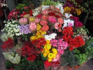 Blommor på Stanley Market.