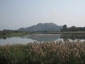 2012 578
