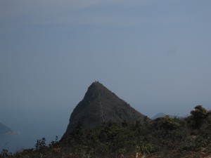2013 299