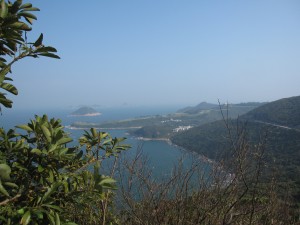 2013 315