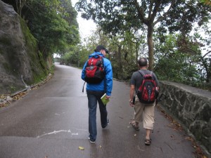 2013 519