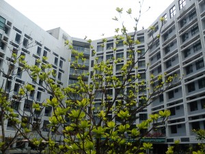 DSC00284