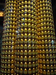 2013 224