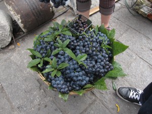 2013 262